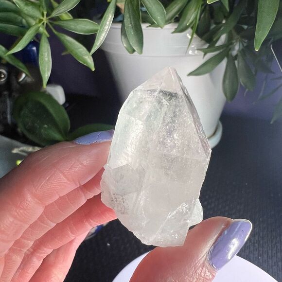 Lemurian Seed Clear Quartz Natural Point (4) - Picture 2 of 14